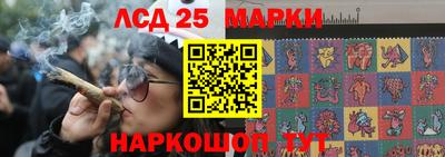 прущие грибы Пушкино