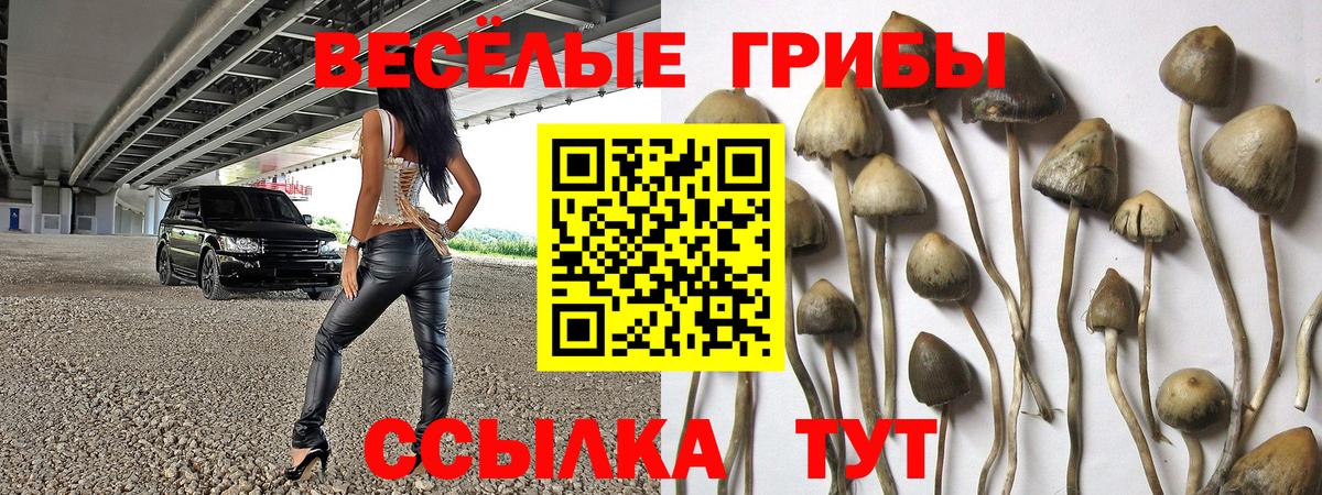 Псилоцибиновые грибы Cubensis Наро-Фоминск