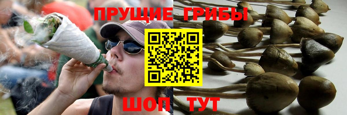 Псилоцибиновые грибы Magic Shrooms  Вход с VPN  Наро-Фоминск  Галлюциногенные грибы GOLDEN TEACHER 